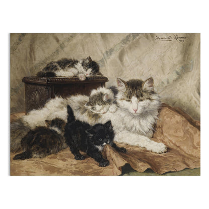 Premium Poster of Five Cats Sleeping in Cozy Setting Classic Art Posters