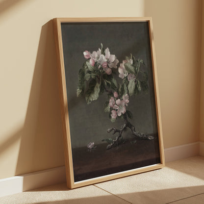 Premium Poster of Floral Art Apple Blossoms Botanical Study Posters