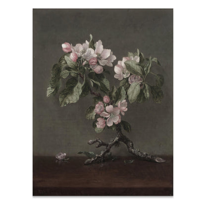 Premium Poster of Floral Art Apple Blossoms Botanical Study Posters