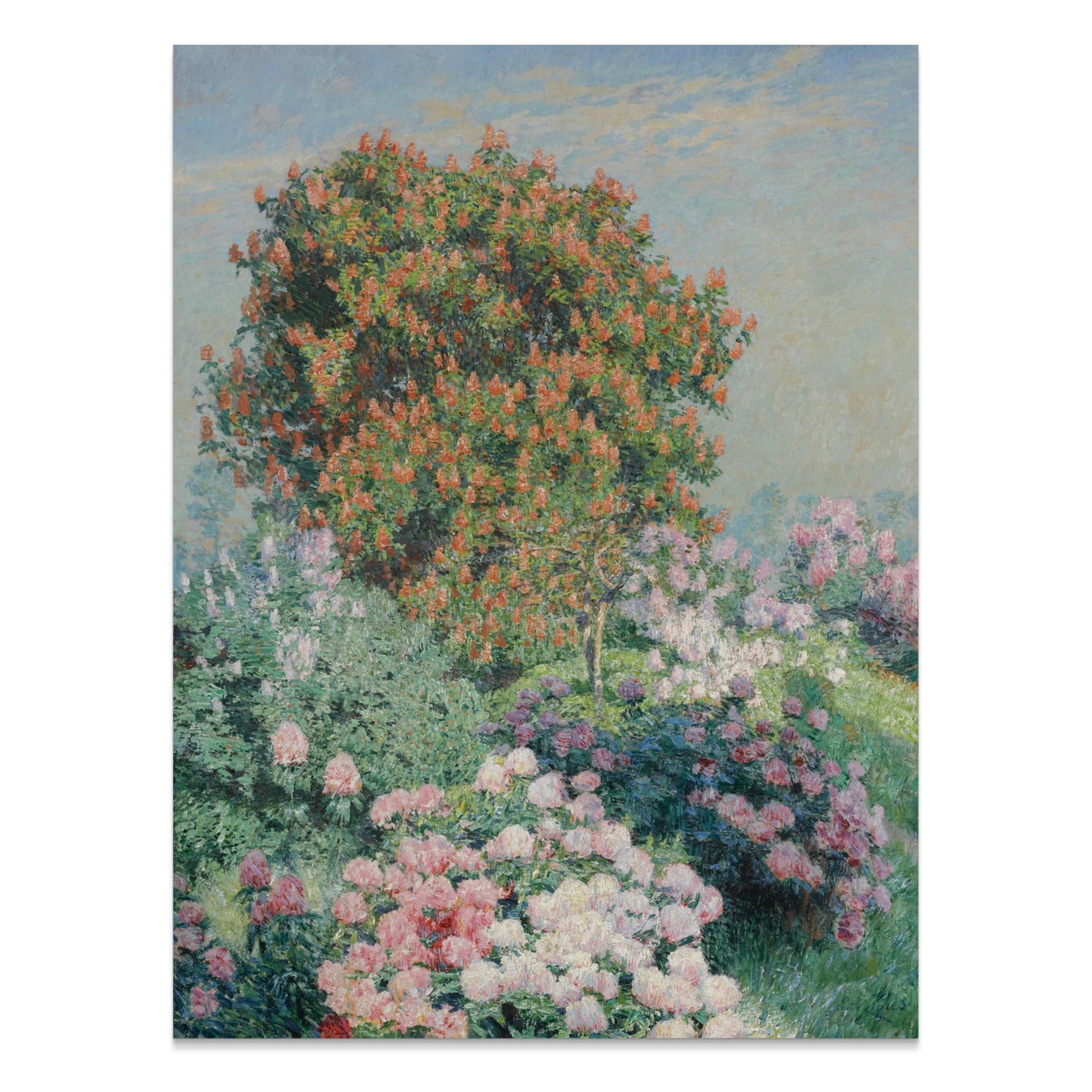 Premium Poster of Garden Blossom Scene with Red Bush Art Decor Posters