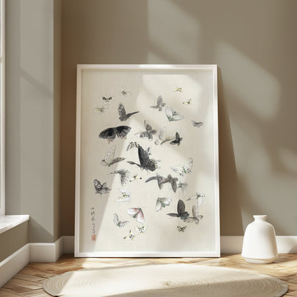 Premium Poster of Graceful Butterfly Illustration Art Print Posters