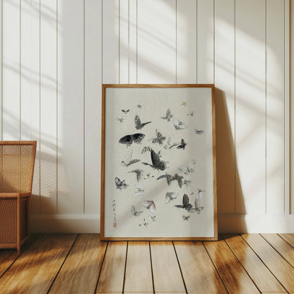 Premium Poster of Graceful Butterfly Illustration Art Print Posters