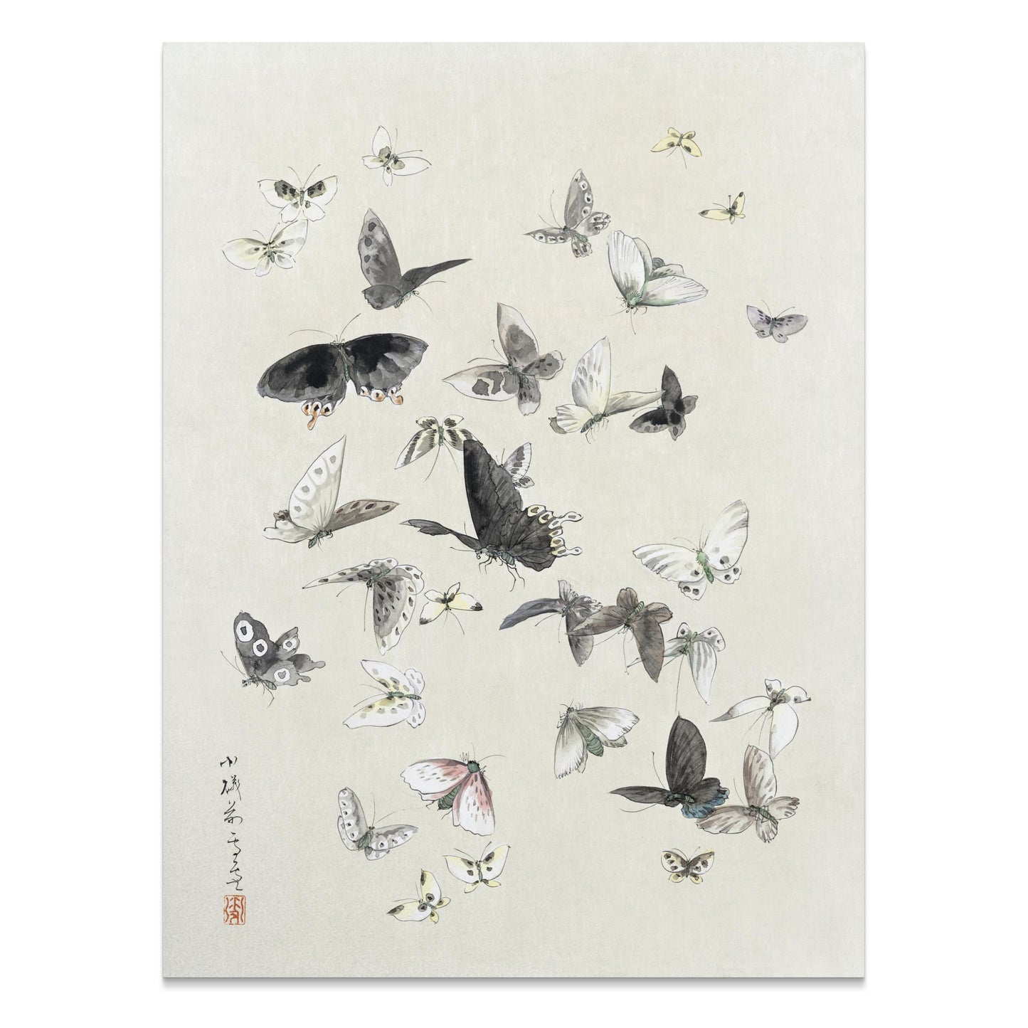 Premium Poster of Graceful Butterfly Illustration Art Print Posters