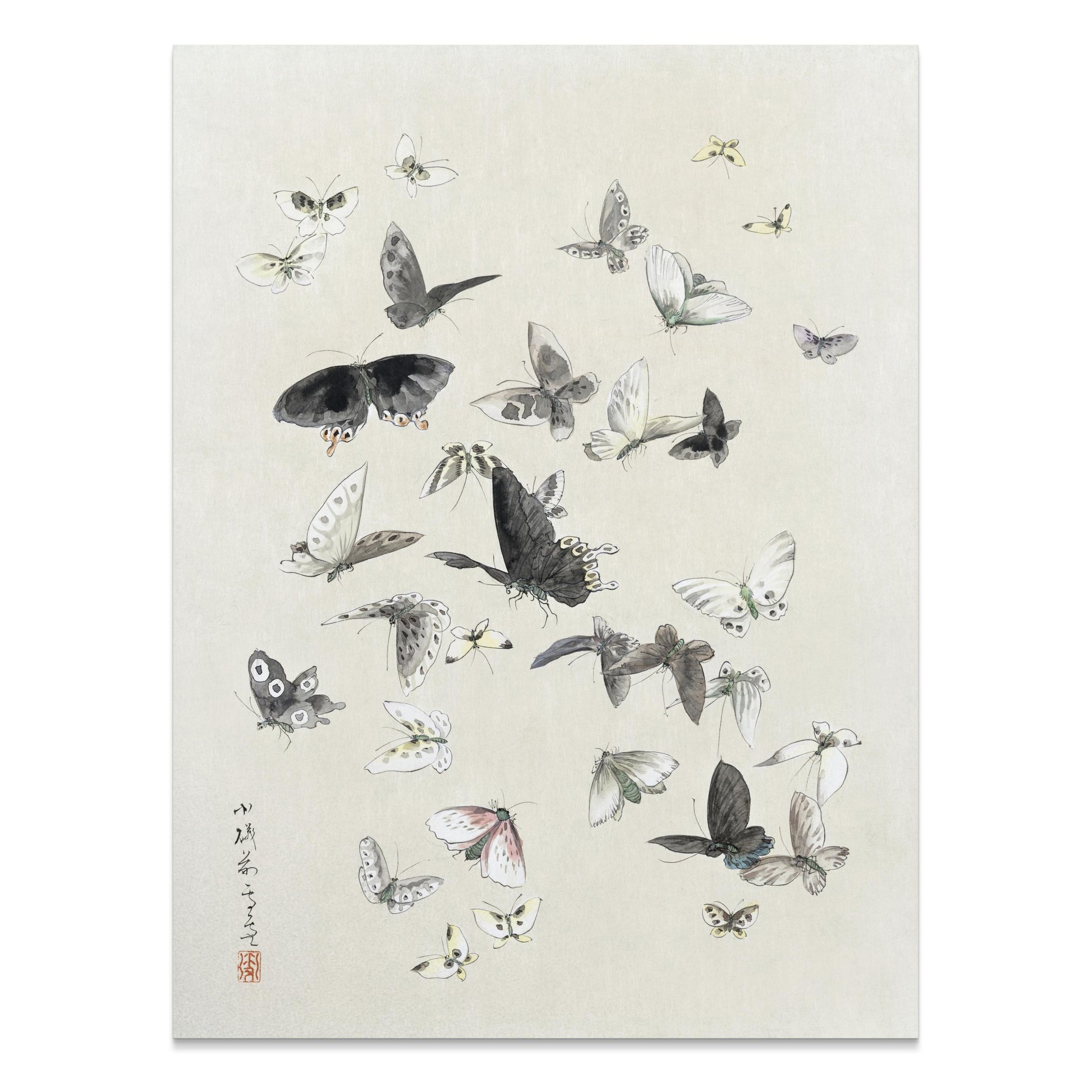 Premium Poster of Graceful Butterfly Illustration Art Print Posters
