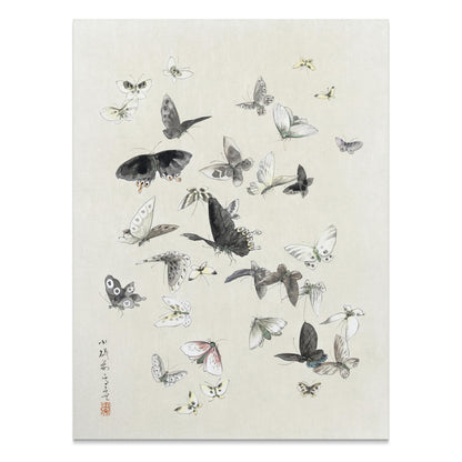 Premium Poster of Graceful Butterfly Illustration Art Print Posters