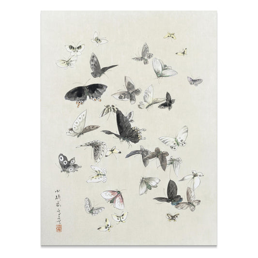 Premium Poster of Graceful Butterfly Illustration Art Print Posters