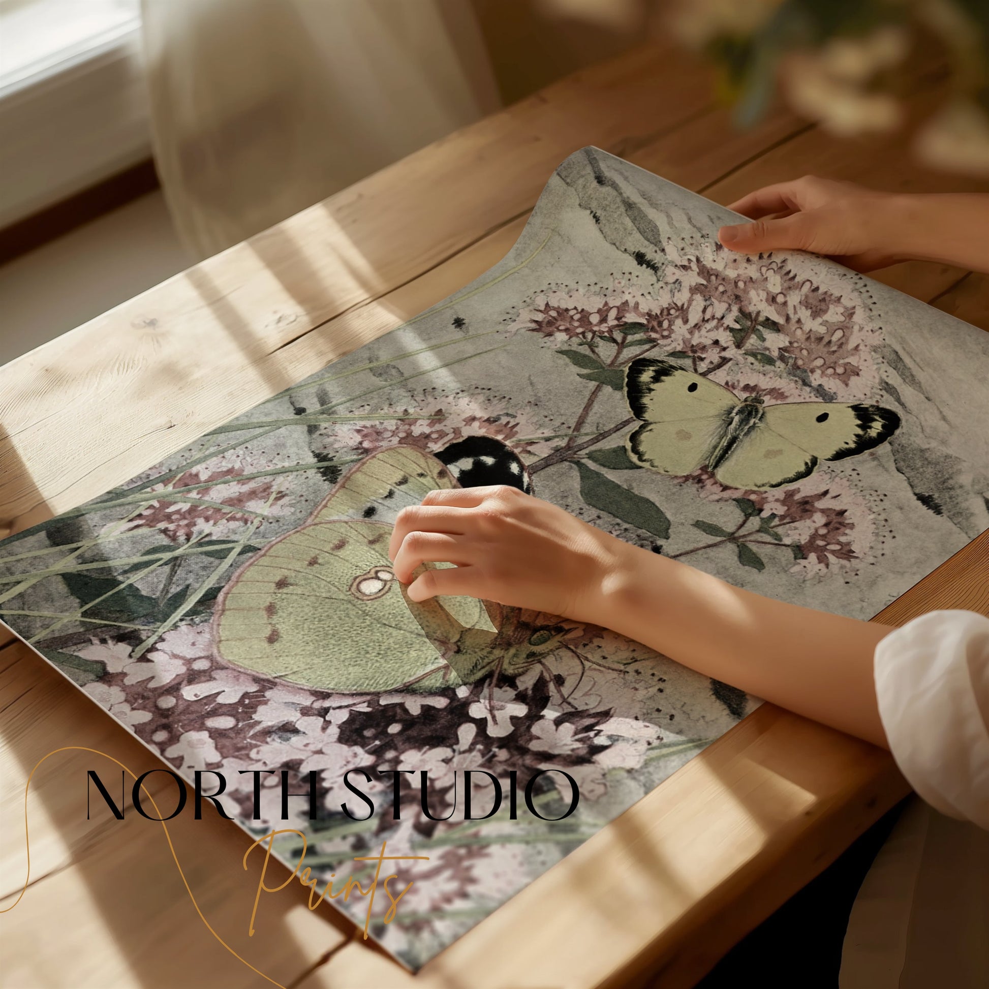 Premium Poster of Green and Yellow Butterflies on Pink Flowers Posters