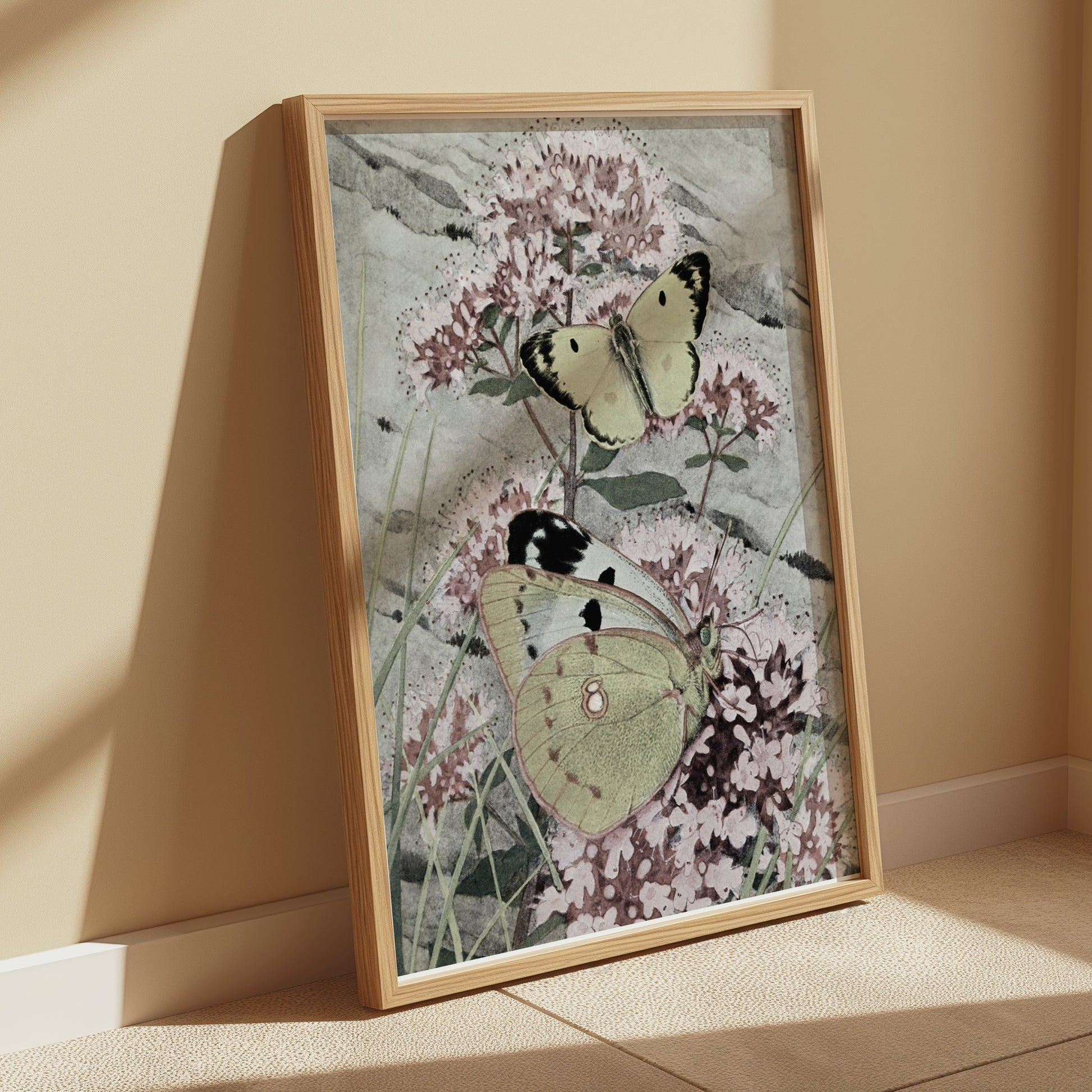 Premium Poster of Green and Yellow Butterflies on Pink Flowers Posters