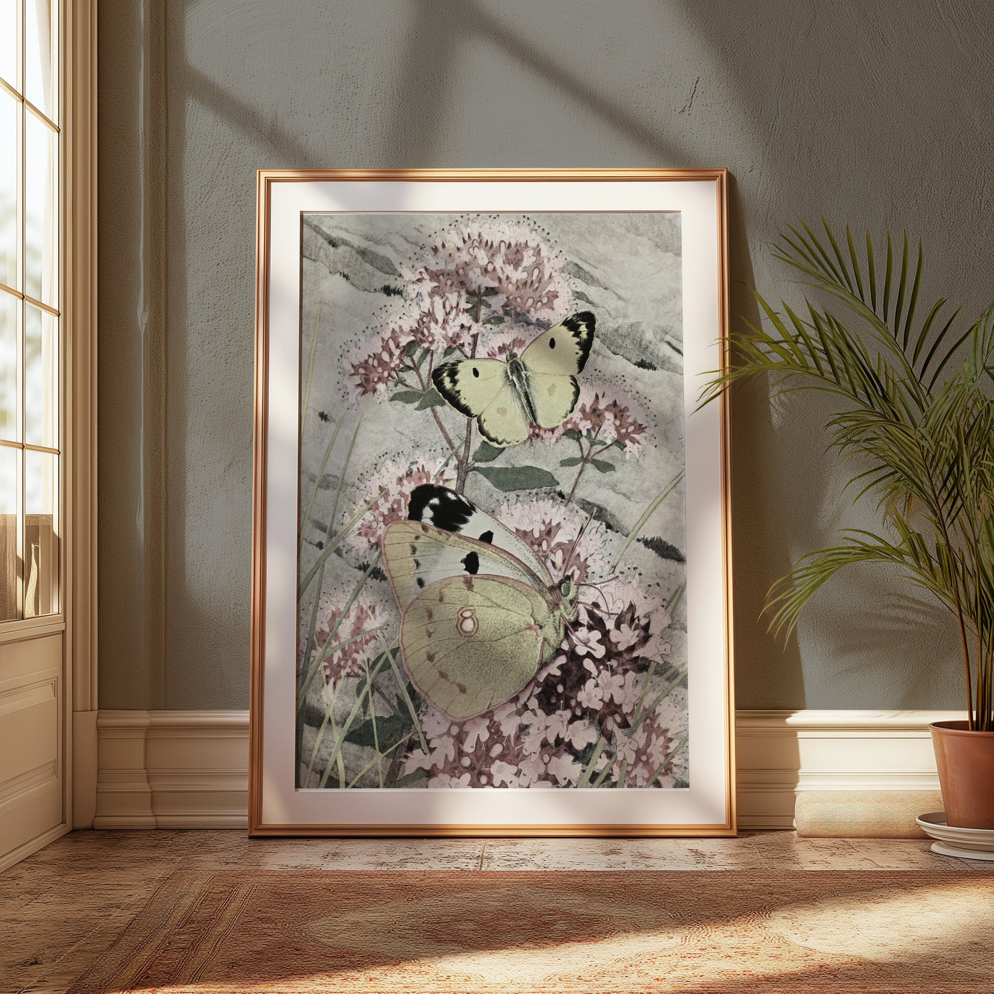 Premium Poster of Green and Yellow Butterflies on Pink Flowers Posters