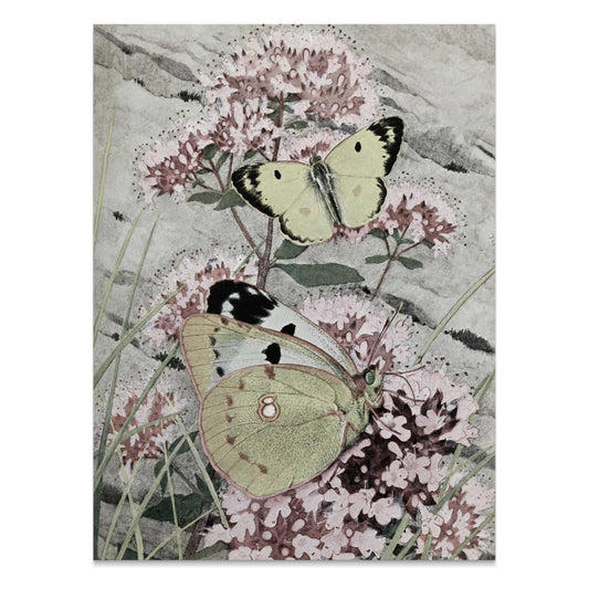 Premium Poster of Green and Yellow Butterflies on Pink Flowers Posters