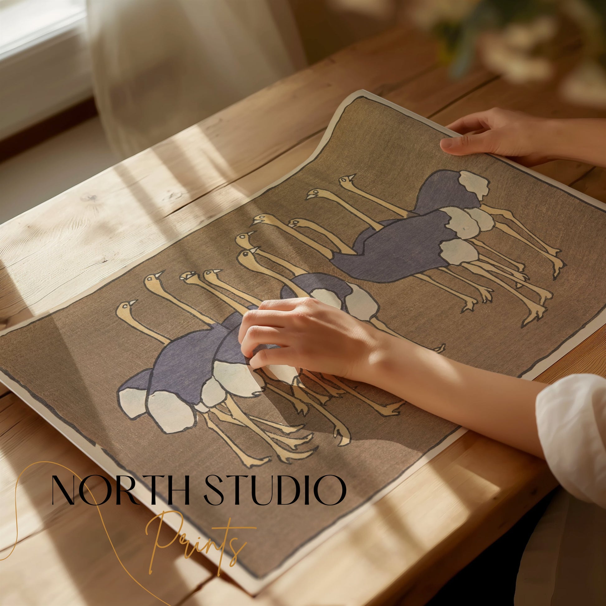 Premium Poster of Group of Ostriches Art Print Vintage Design Posters