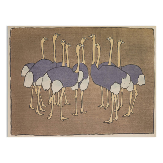 Premium Poster of Group of Ostriches Art Print Vintage Design Posters