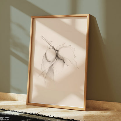 Premium Poster of Hand-Drawn Botanical Sketch of Fruit Branch Posters