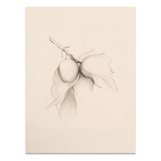 Premium Poster of Hand-Drawn Botanical Sketch of Fruit Branch Posters