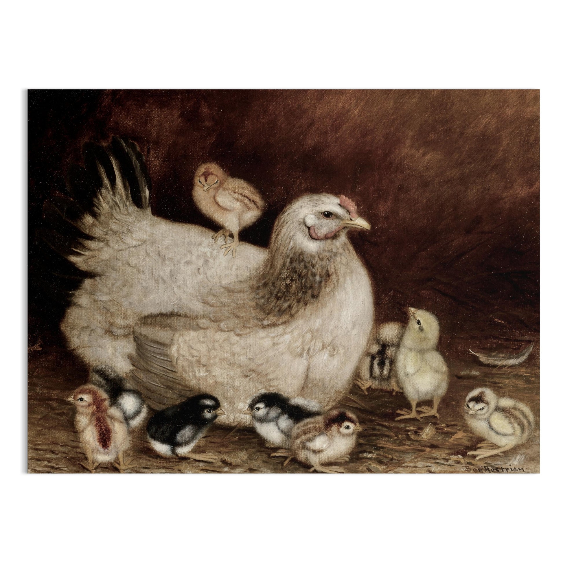 Premium Poster of Hen with Adorable Chicks Art Print Posters