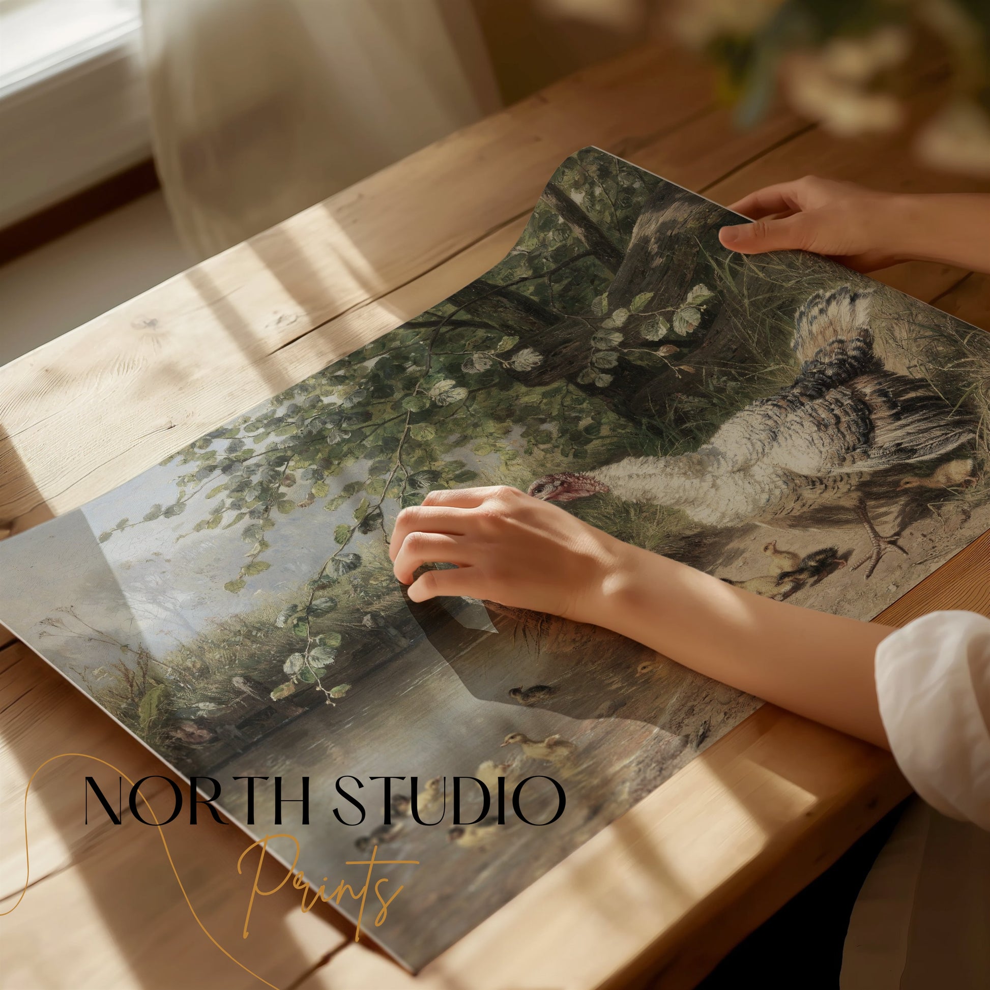 Premium Poster of Idyllic Countryside Scene with Turkeys and Ducks Posters