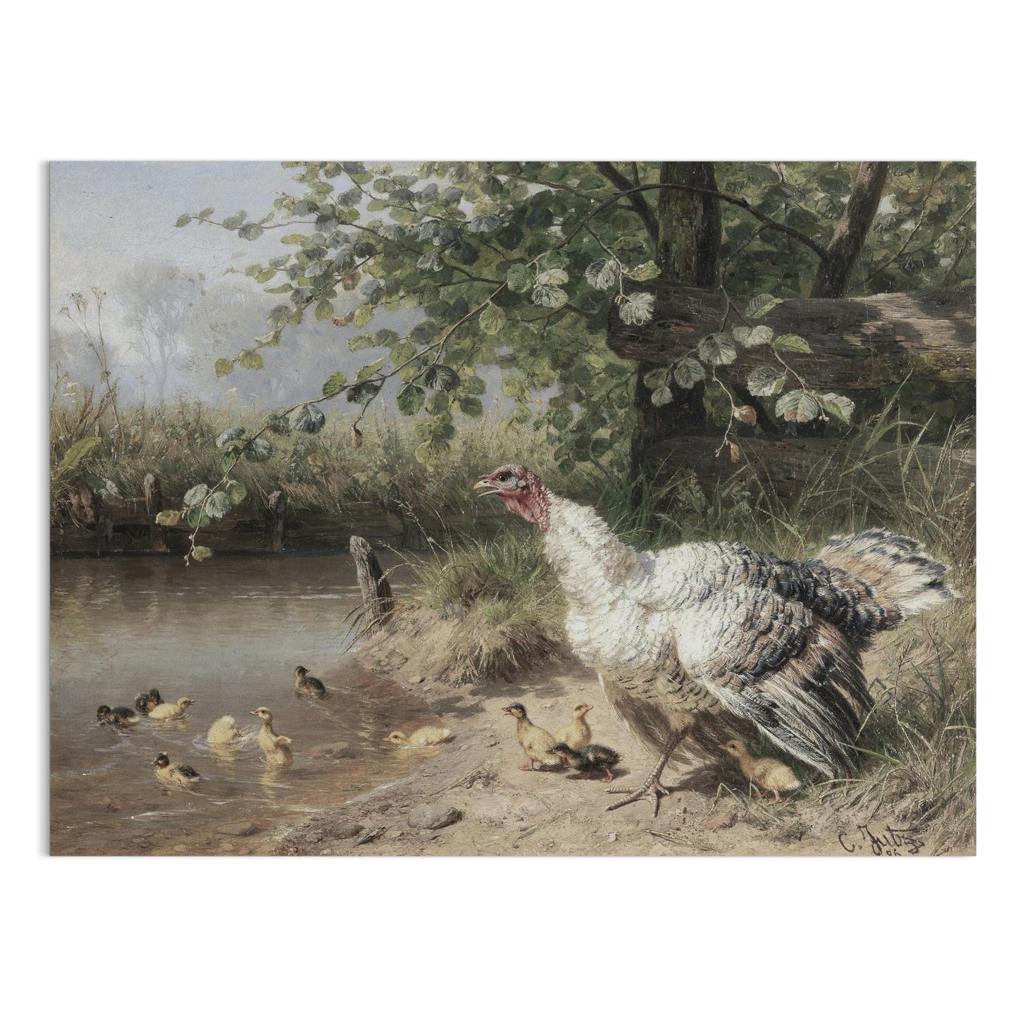 Premium Poster of Idyllic Countryside Scene with Turkeys and Ducks Posters