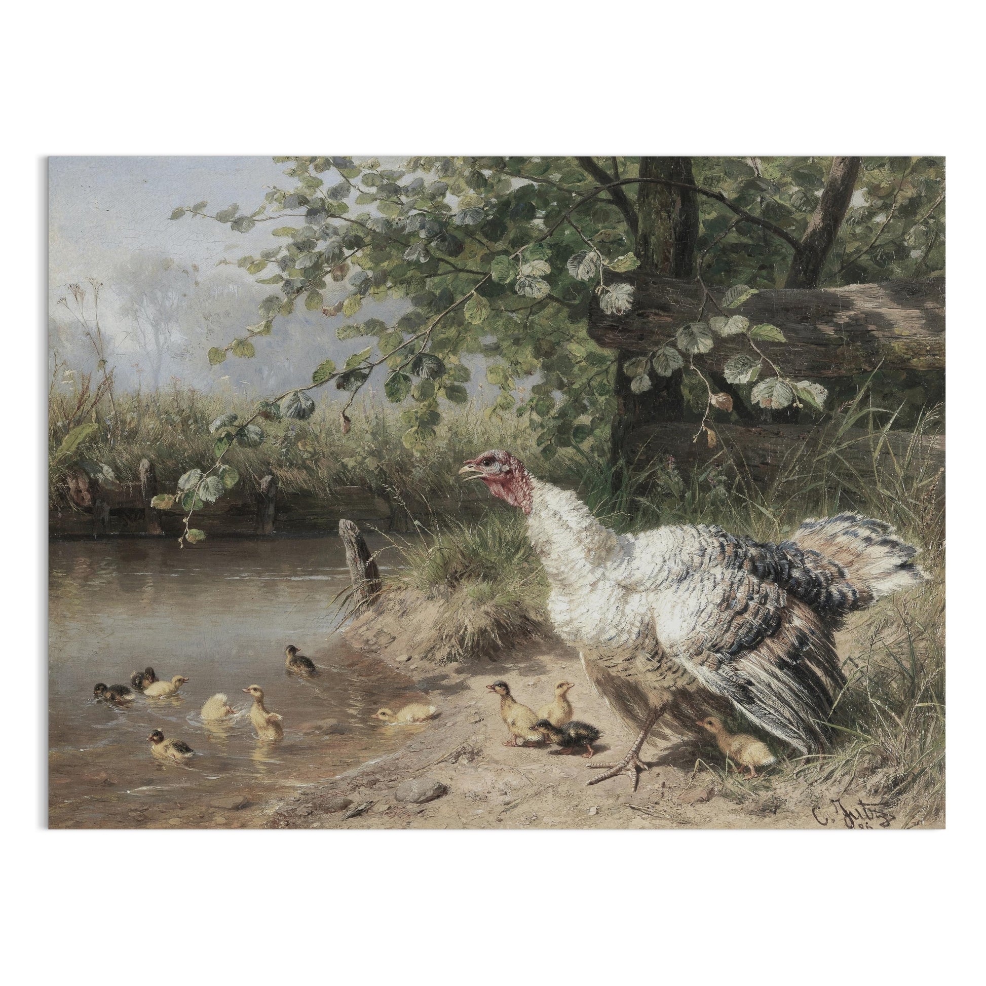 Premium Poster of Idyllic Countryside Scene with Turkeys and Ducks Posters