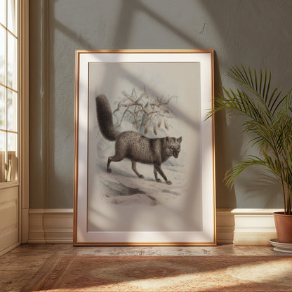 Premium Poster of Illustration of Walking Fox in Nature Posters