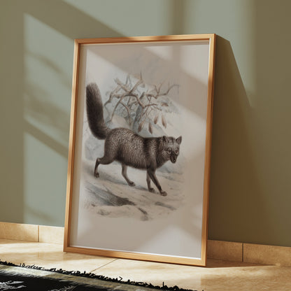 Premium Poster of Illustration of Walking Fox in Nature Posters