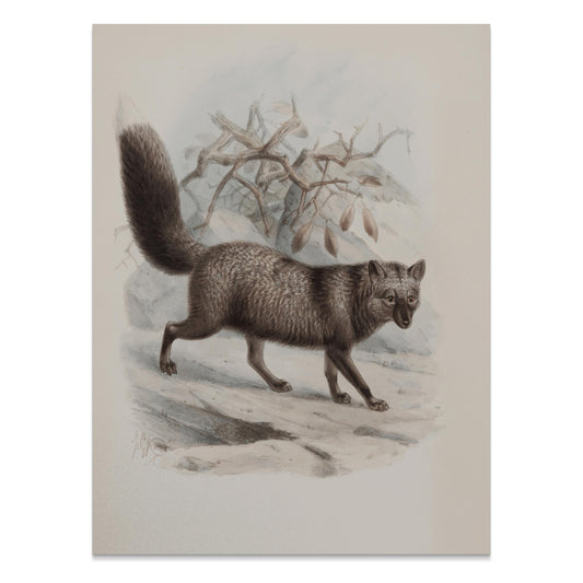 Premium Poster of Illustration of Walking Fox in Nature Posters