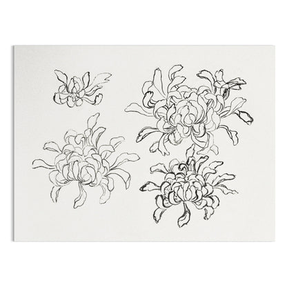 Premium Poster of Japanese Art Chrysanthemum Sketch Wall Decor Posters