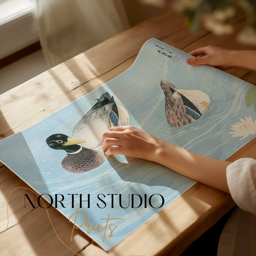 Premium Poster of Japanese Art Duck Swimming in Pond Water Lily Posters