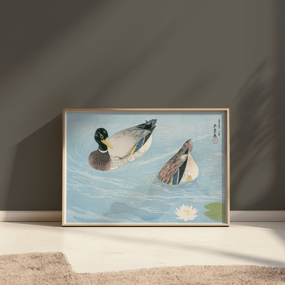 Premium Poster of Japanese Art Duck Swimming in Pond Water Lily Posters