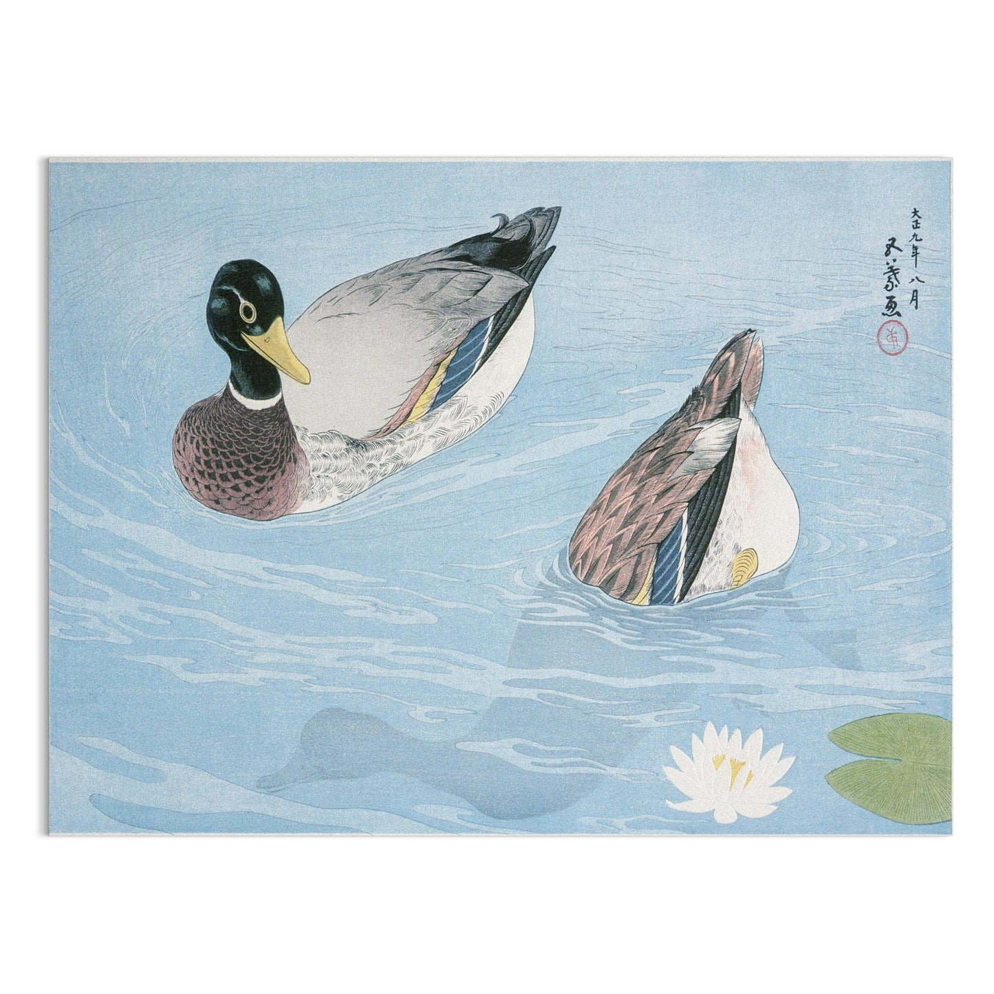 Premium Poster of Japanese Art Duck Swimming in Pond Water Lily Posters