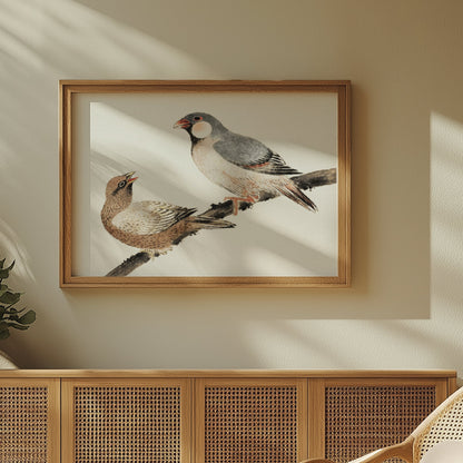 Premium Poster of Japanese Birds on a Branch Wall Art Print Posters