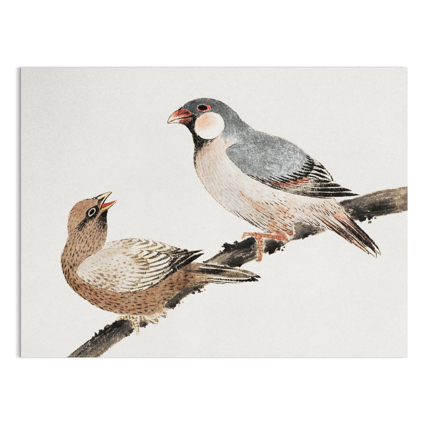 Premium Poster of Japanese Birds on a Branch Wall Art Print Posters