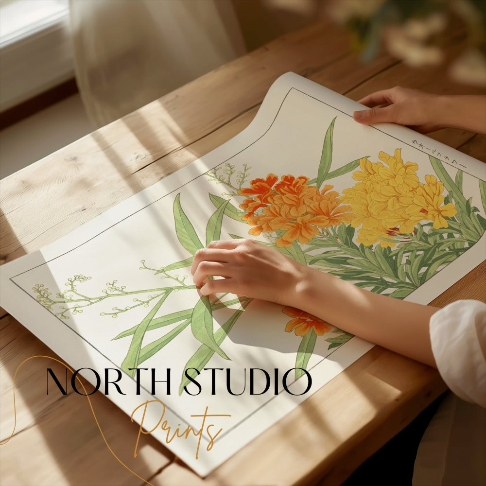 Premium Poster of Japanese Botanical Marigold Illustration Art Posters