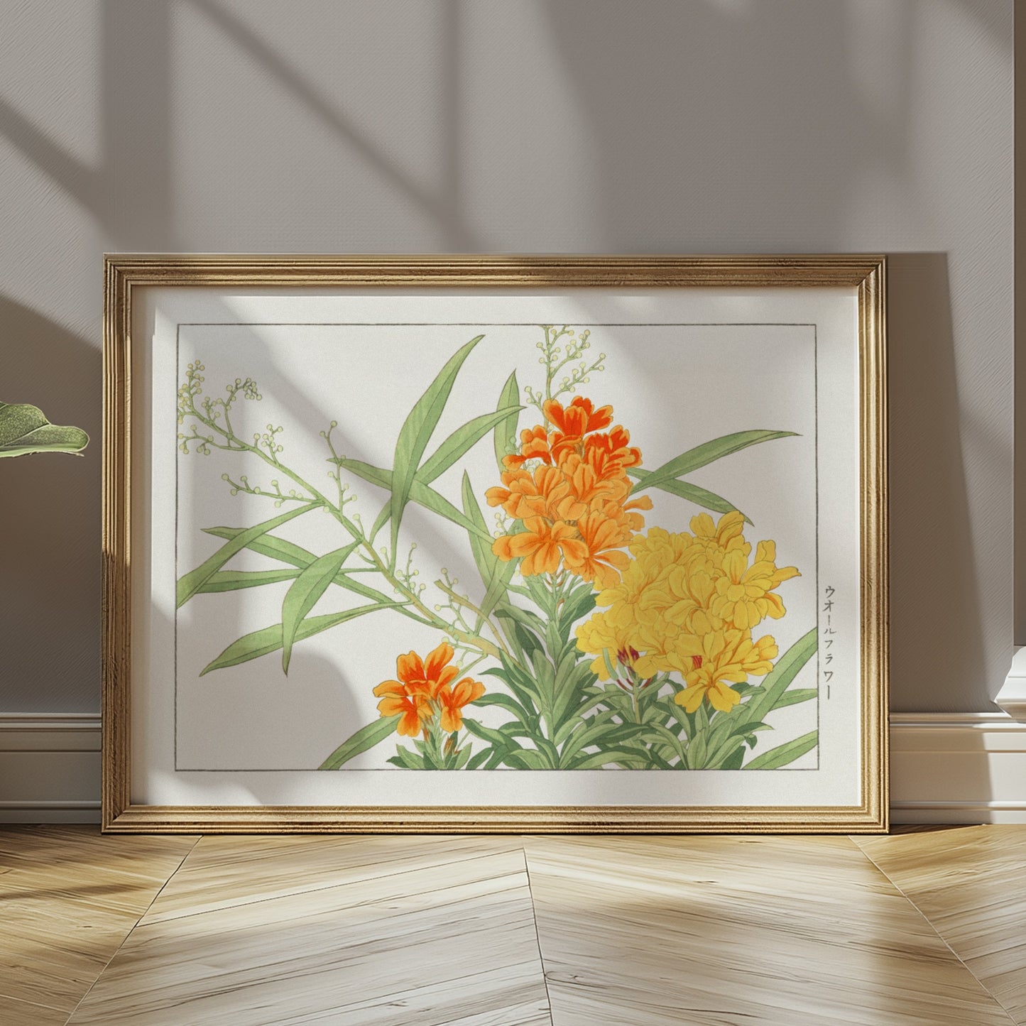 Premium Poster of Japanese Botanical Marigold Illustration Art Posters