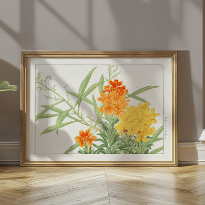 Premium Poster of Japanese Botanical Marigold Illustration Art Posters