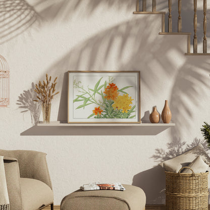 Premium Poster of Japanese Botanical Marigold Illustration Art Posters