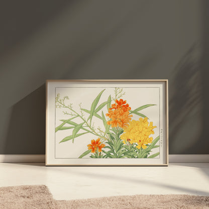 Premium Poster of Japanese Botanical Marigold Illustration Art Posters