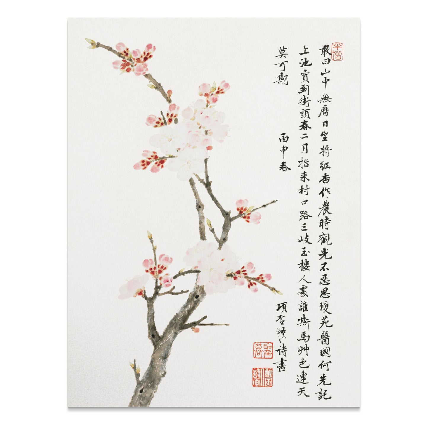 Premium Poster of Japanese Cherry Blossom Art Decor Posters