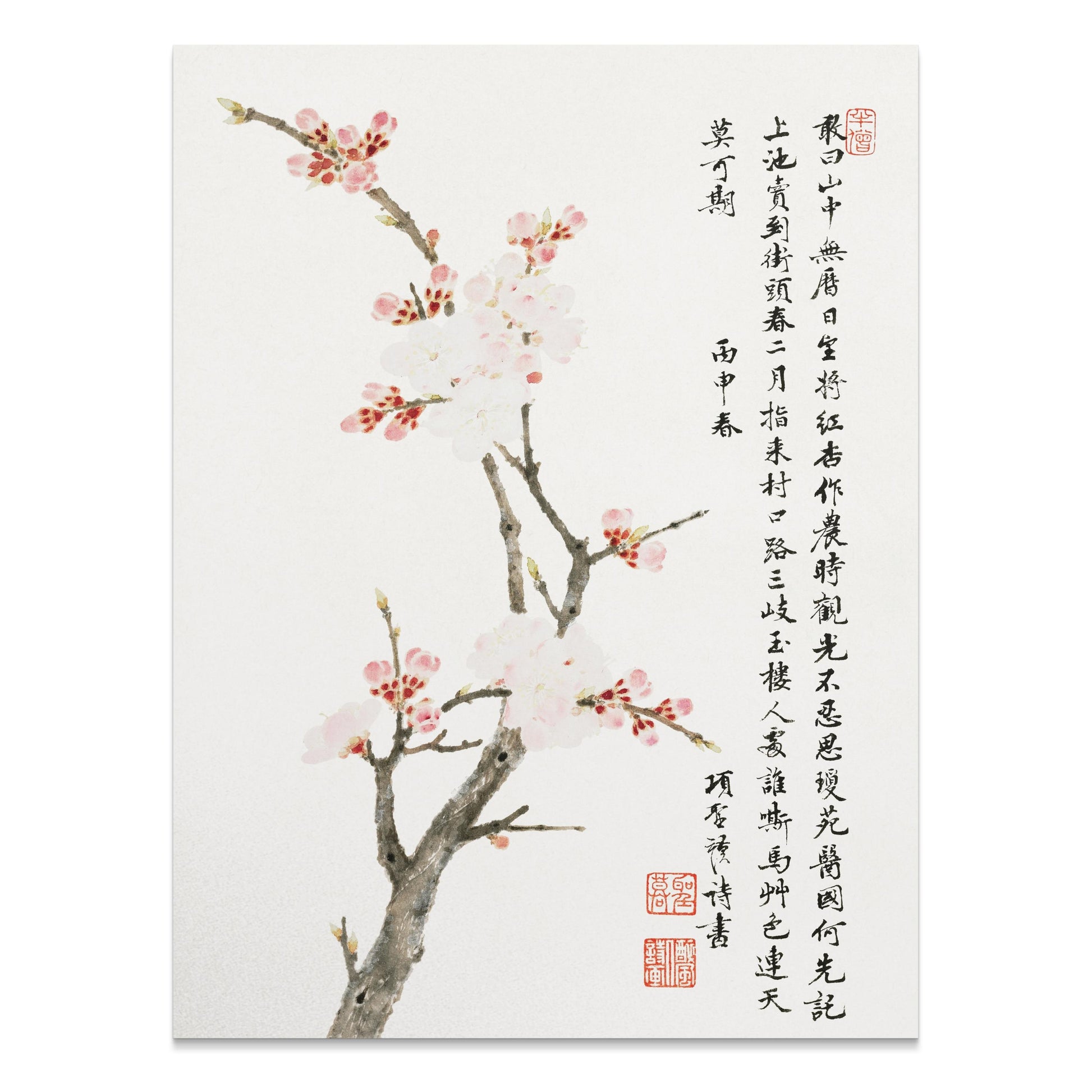 Premium Poster of Japanese Cherry Blossom Art Decor Posters
