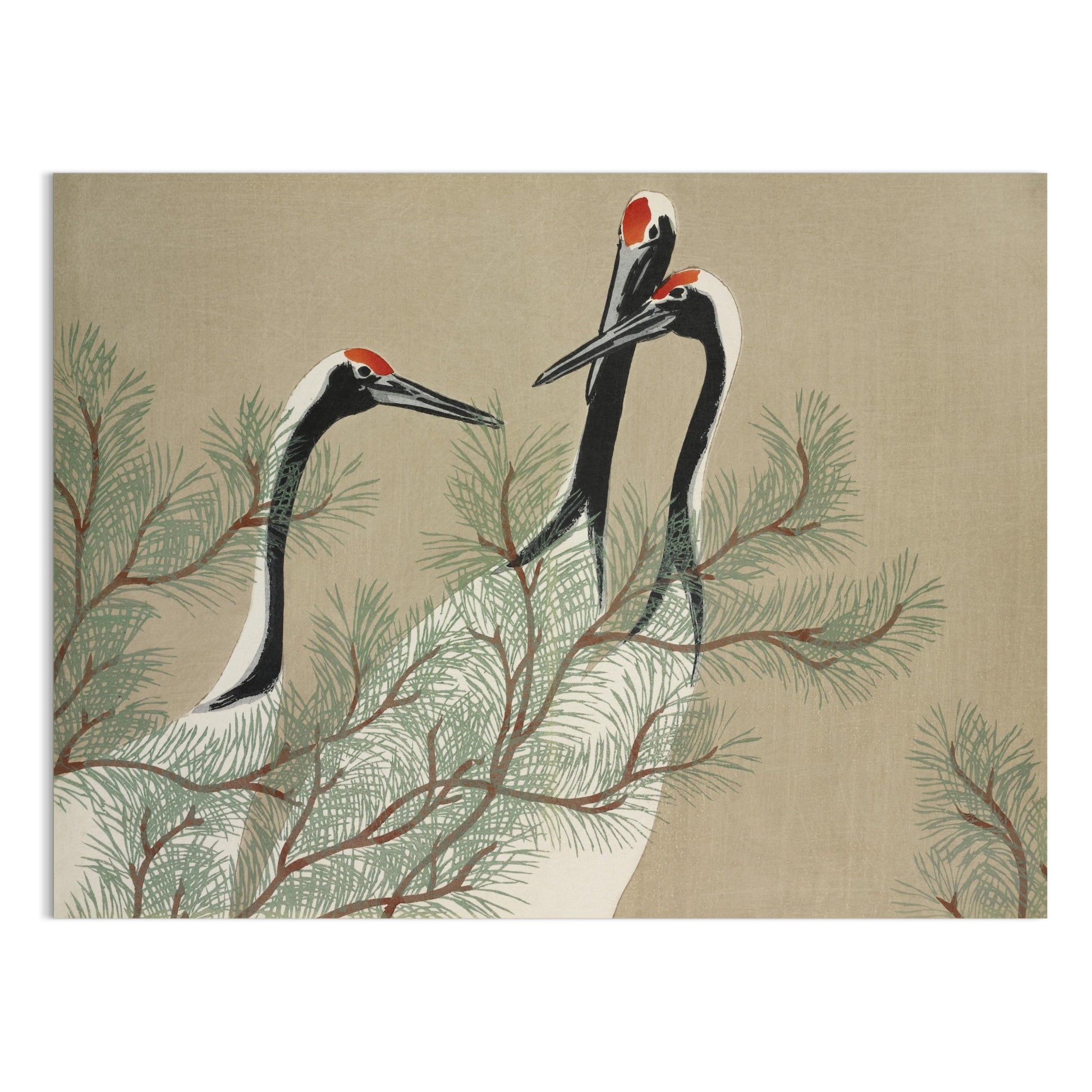 Premium Poster of Japanese Cranes and Pine Tree Artistic Wall Art Posters