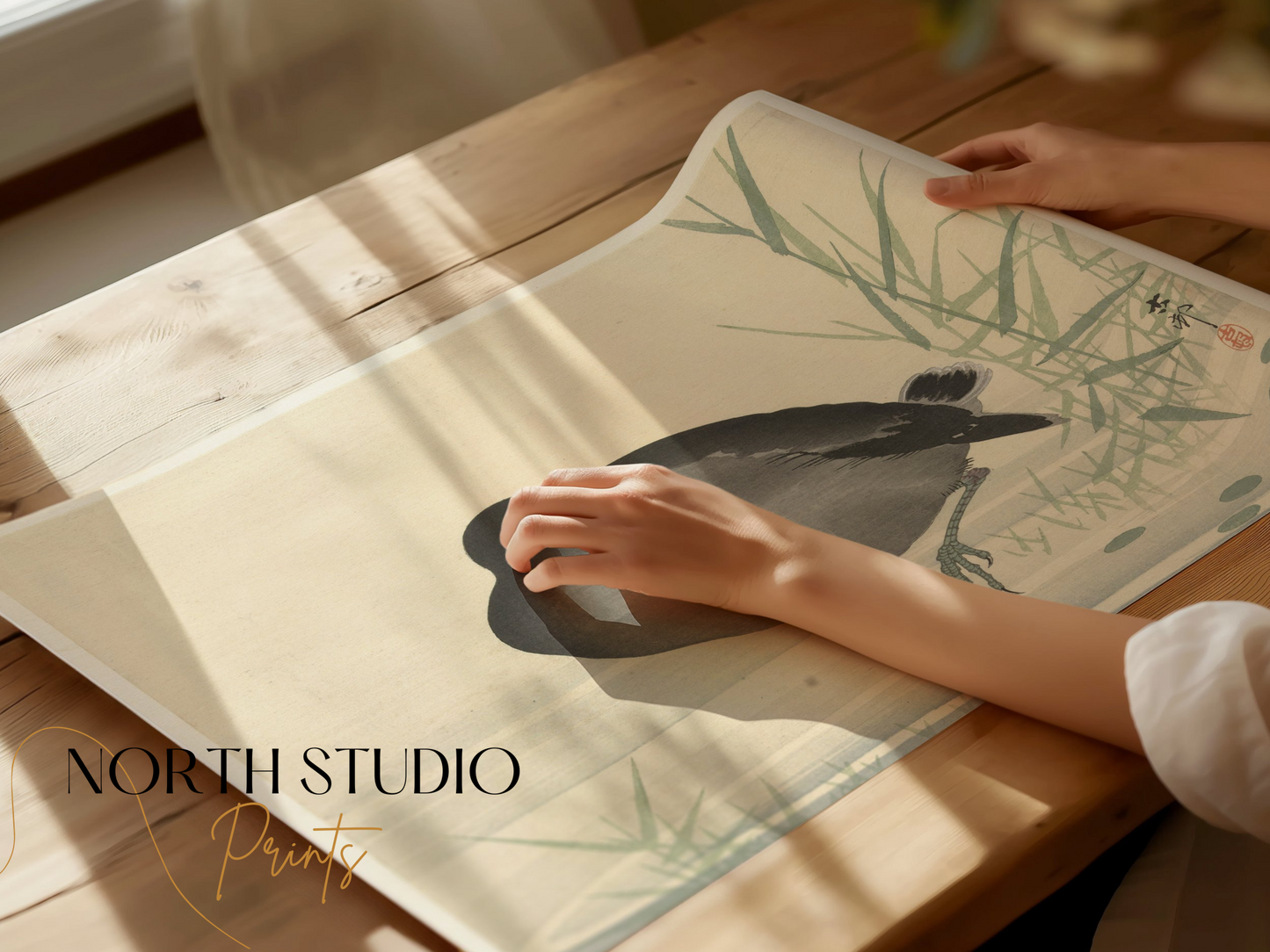 Premium Poster of Japanese Moorhen Standing in Water Wall Art Posters