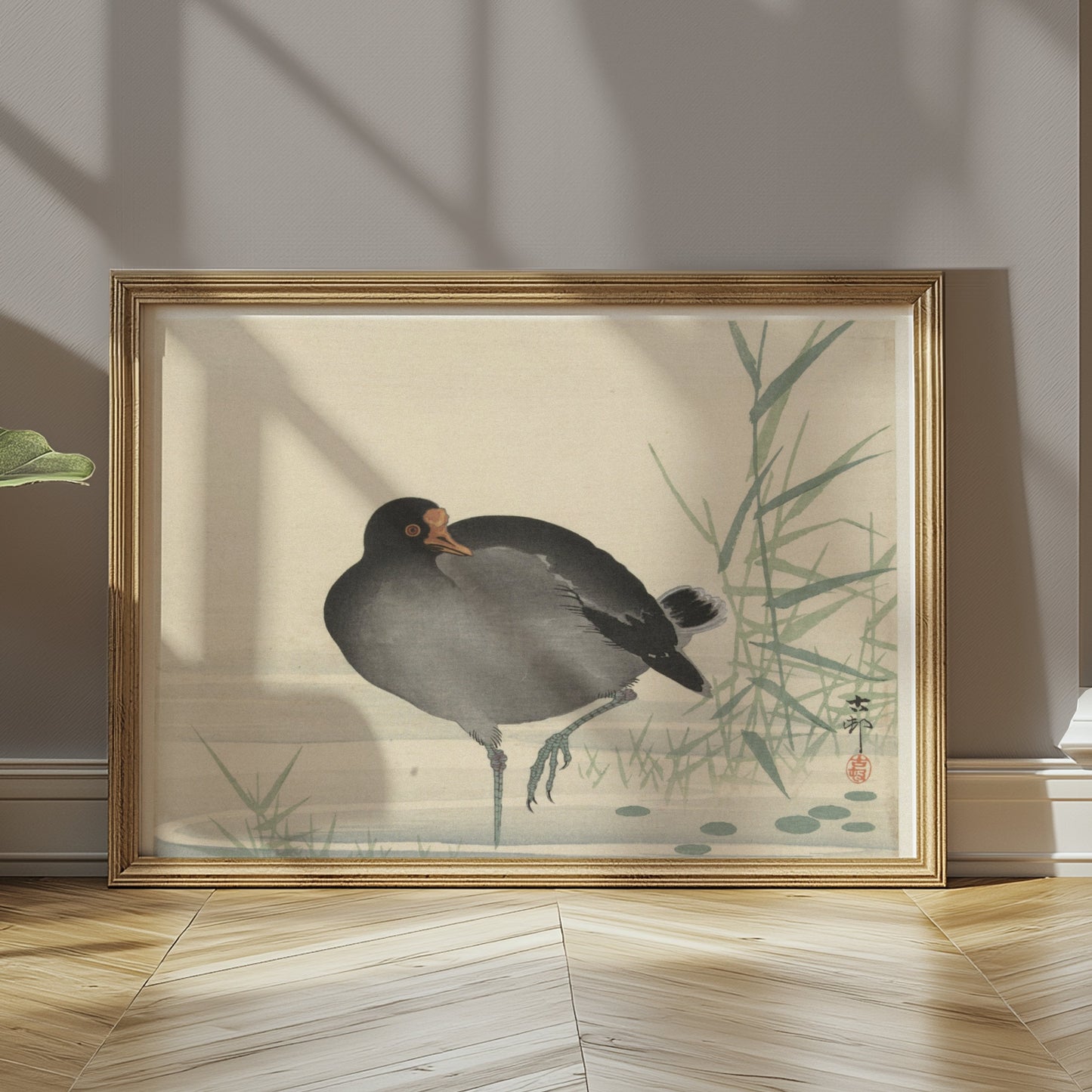 Premium Poster of Japanese Moorhen Standing in Water Wall Art Posters