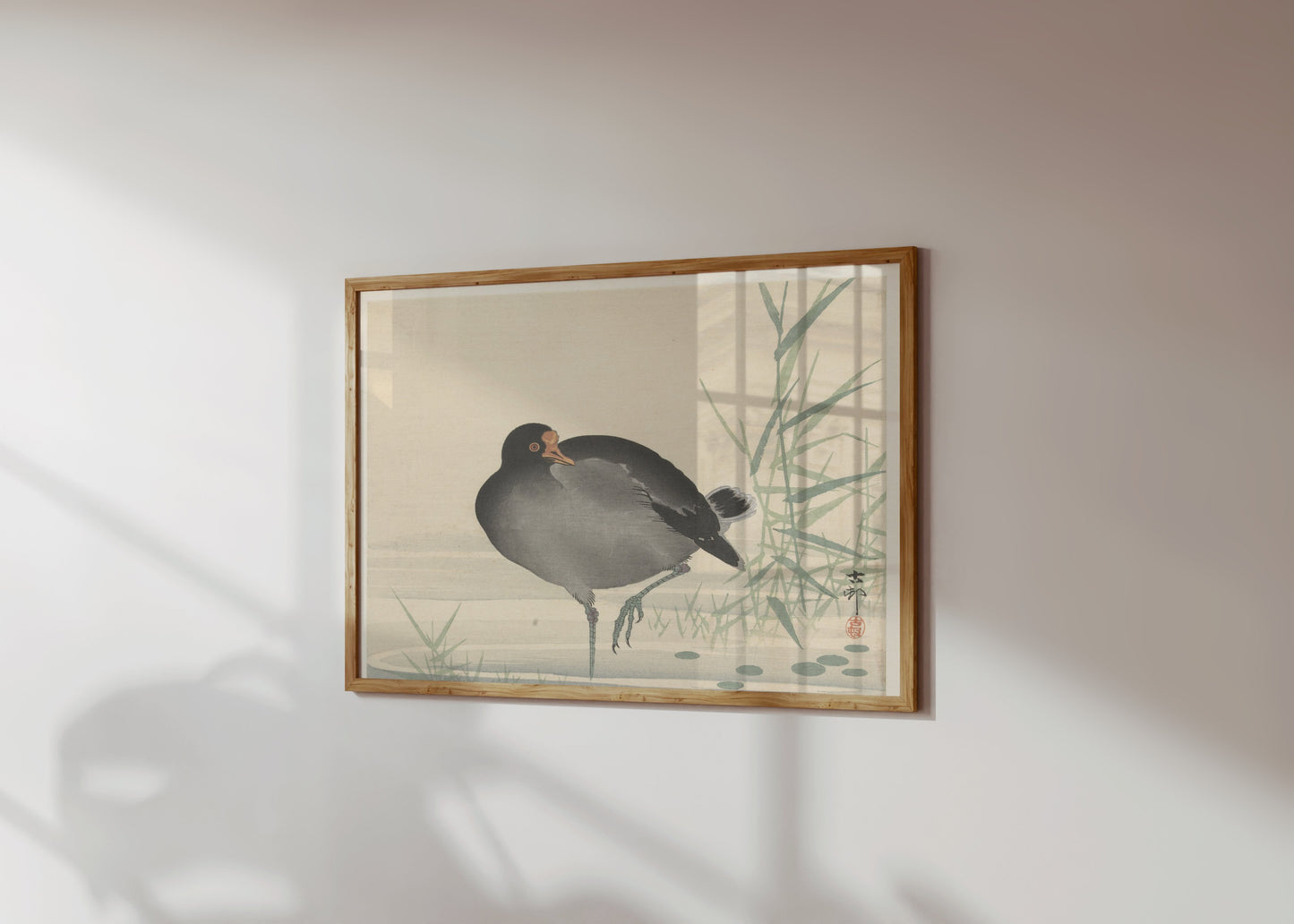 Premium Poster of Japanese Moorhen Standing in Water Wall Art Posters