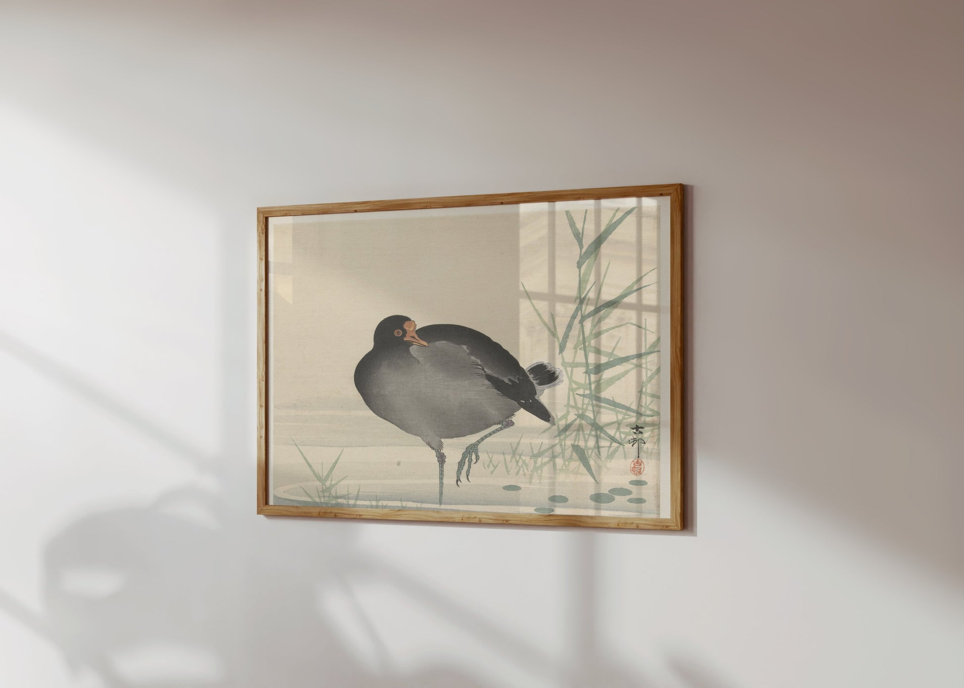 Premium Poster of Japanese Moorhen Standing in Water Wall Art Posters