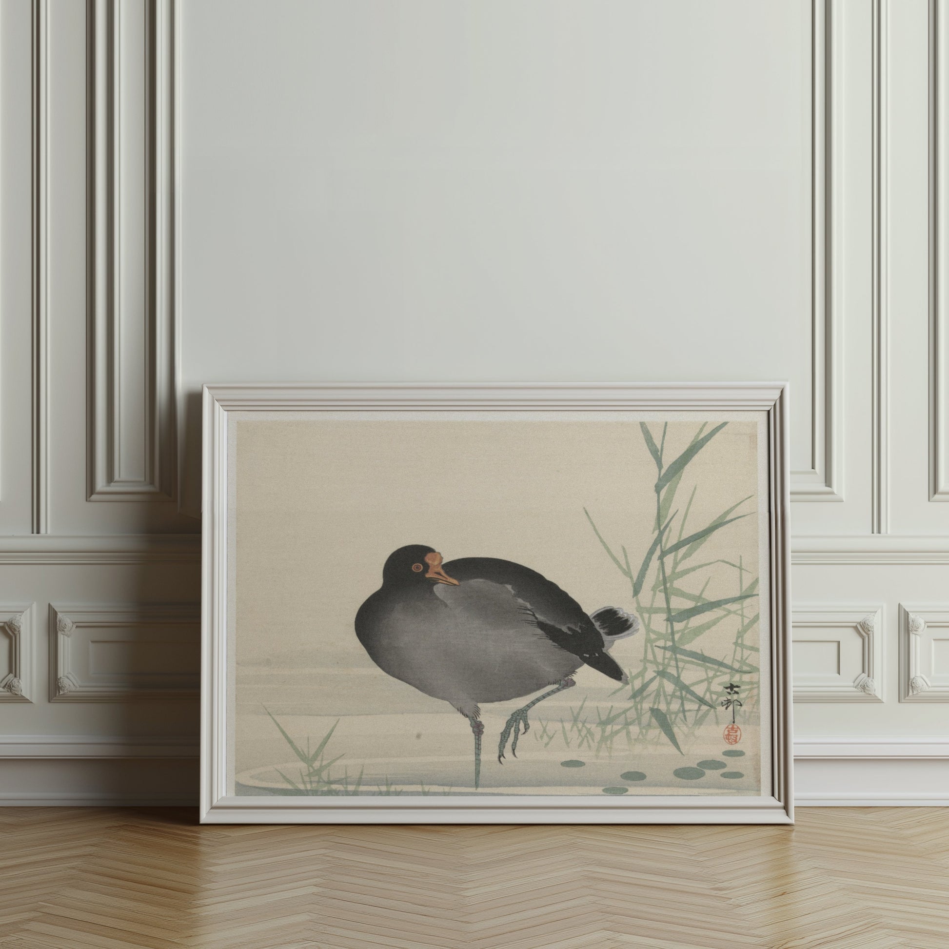 Premium Poster of Japanese Moorhen Standing in Water Wall Art Posters