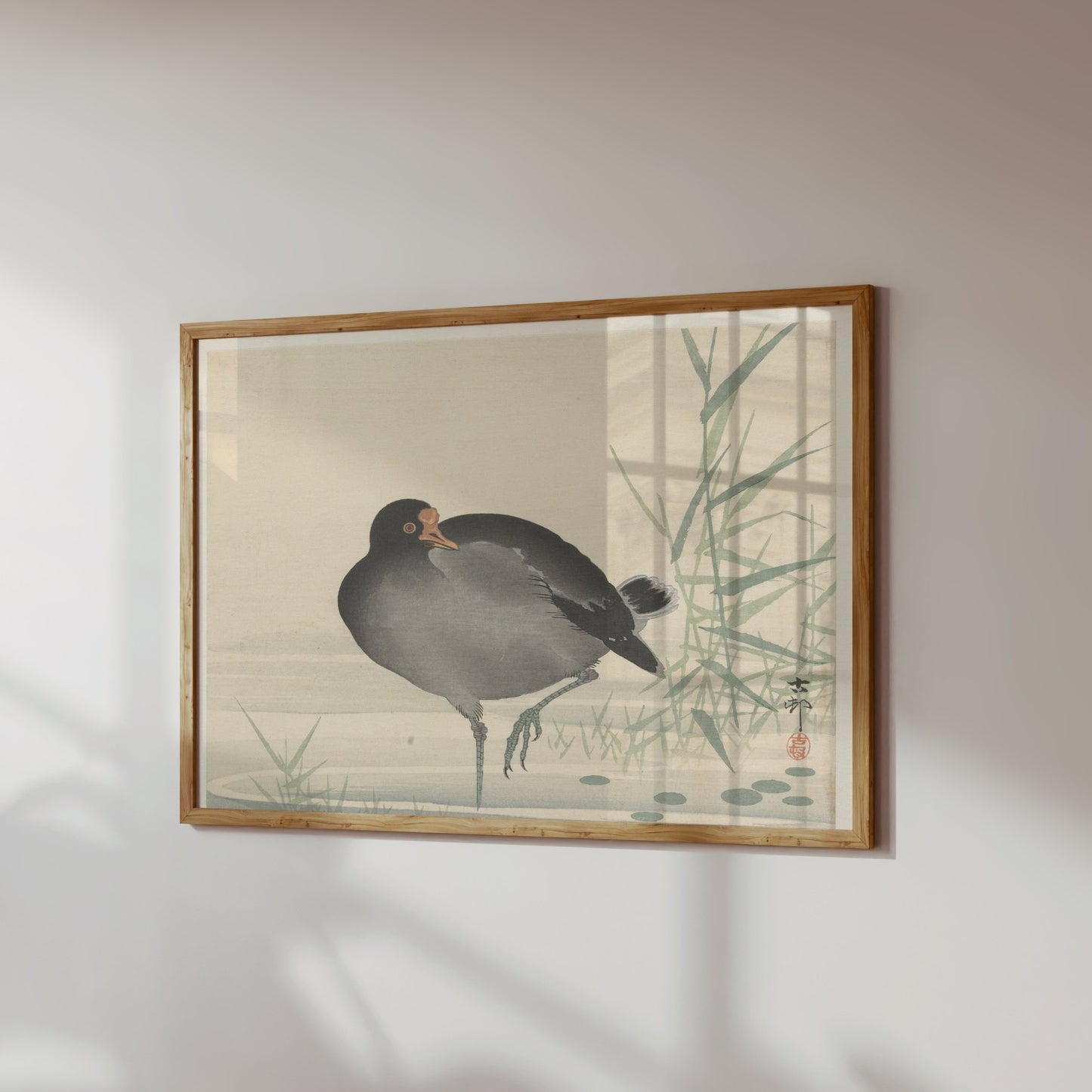 Premium Poster of Japanese Moorhen Standing in Water Wall Art Posters
