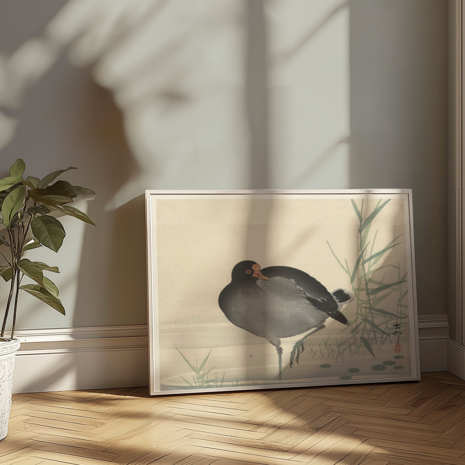 Premium Poster of Japanese Moorhen Standing in Water Wall Art Posters