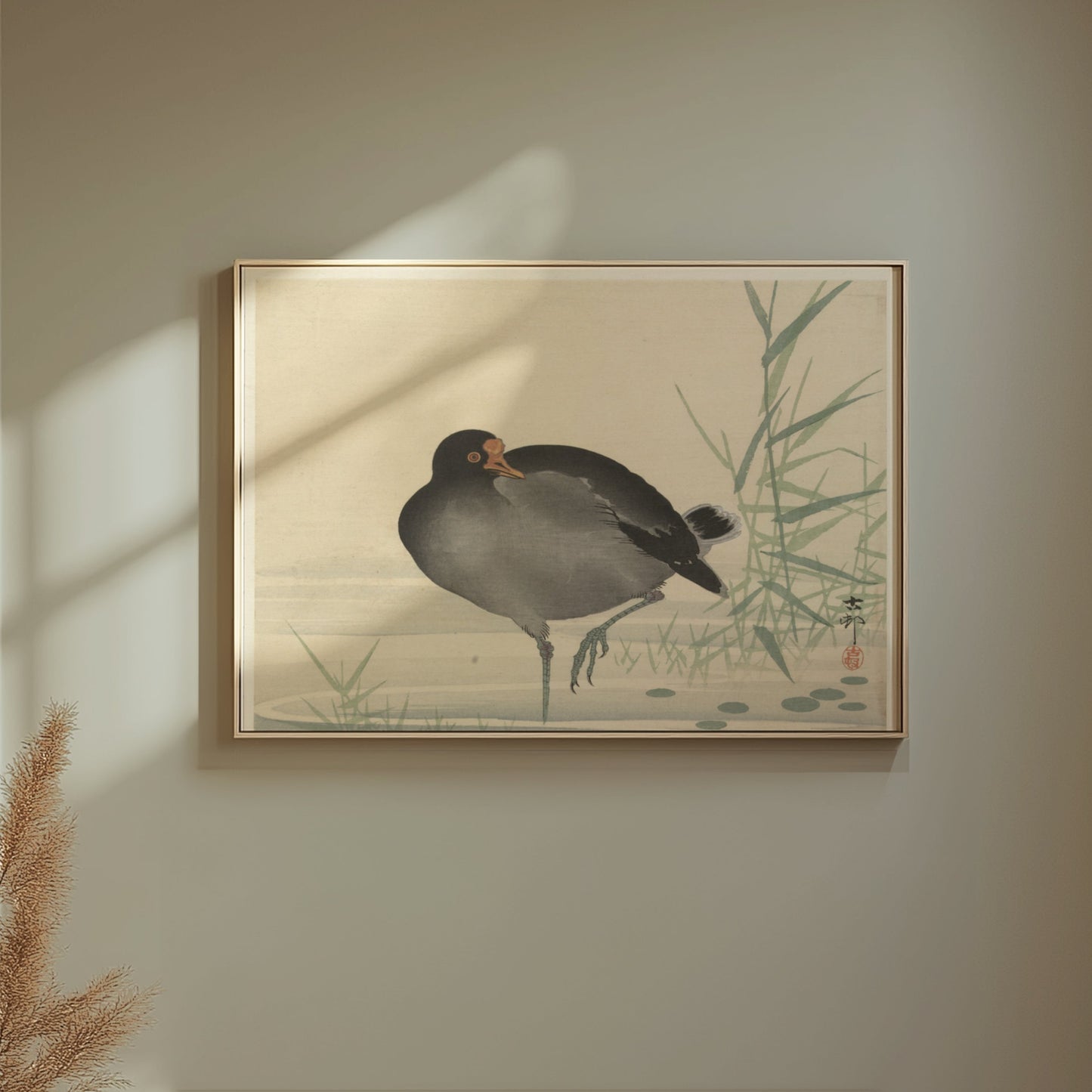 Premium Poster of Japanese Moorhen Standing in Water Wall Art Posters