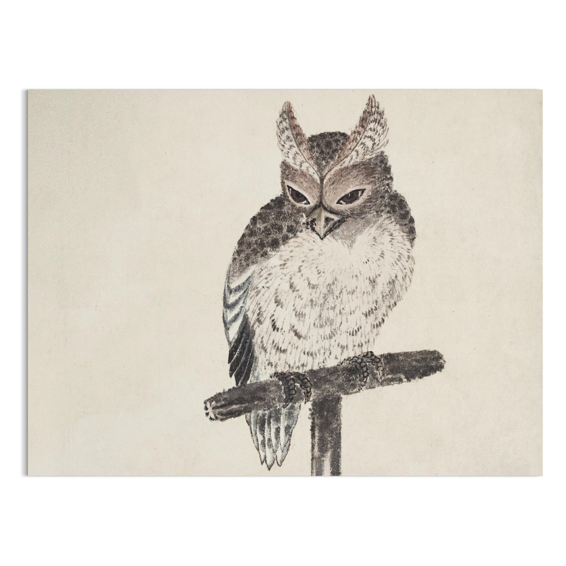 Premium Poster of Japanese Owl Art Handmade Wall Decor Posters