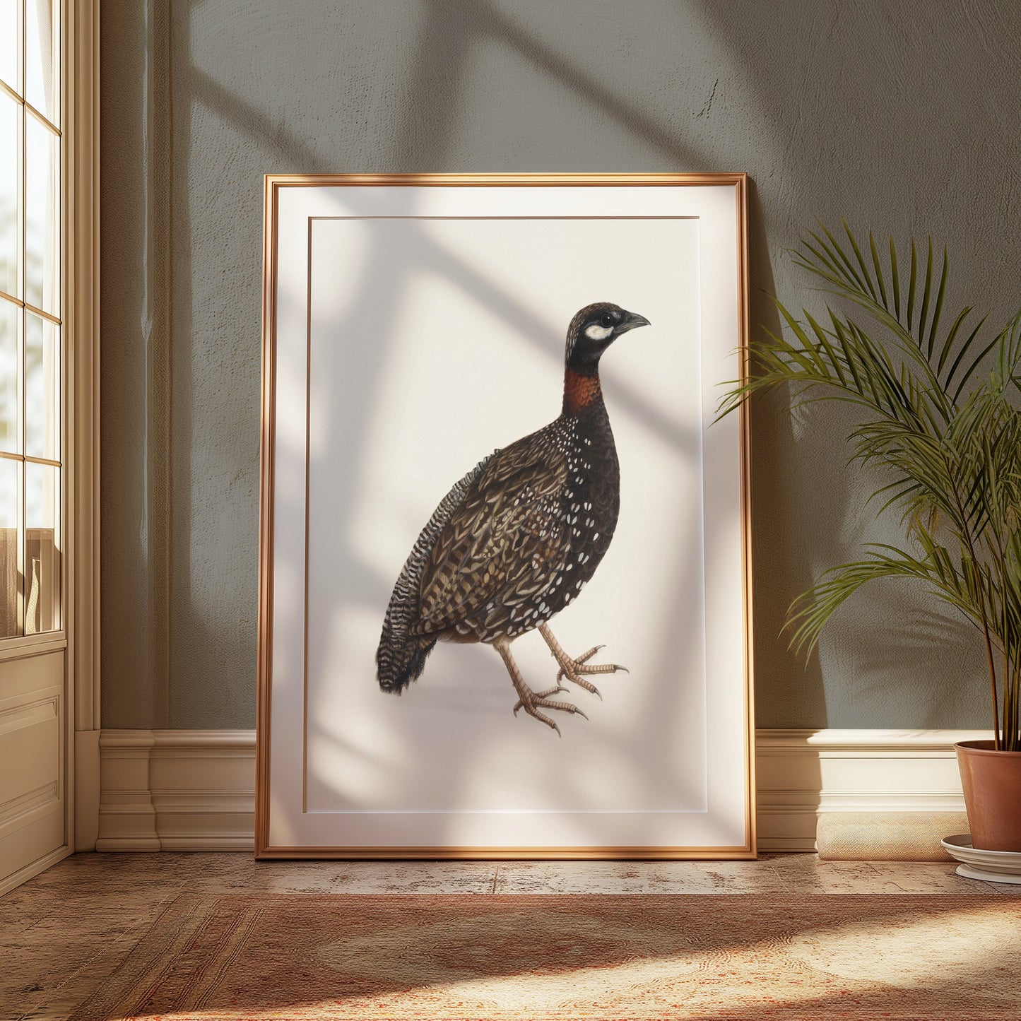 Premium Poster of Japanese Quail Bird Naturalistic Art Print Posters