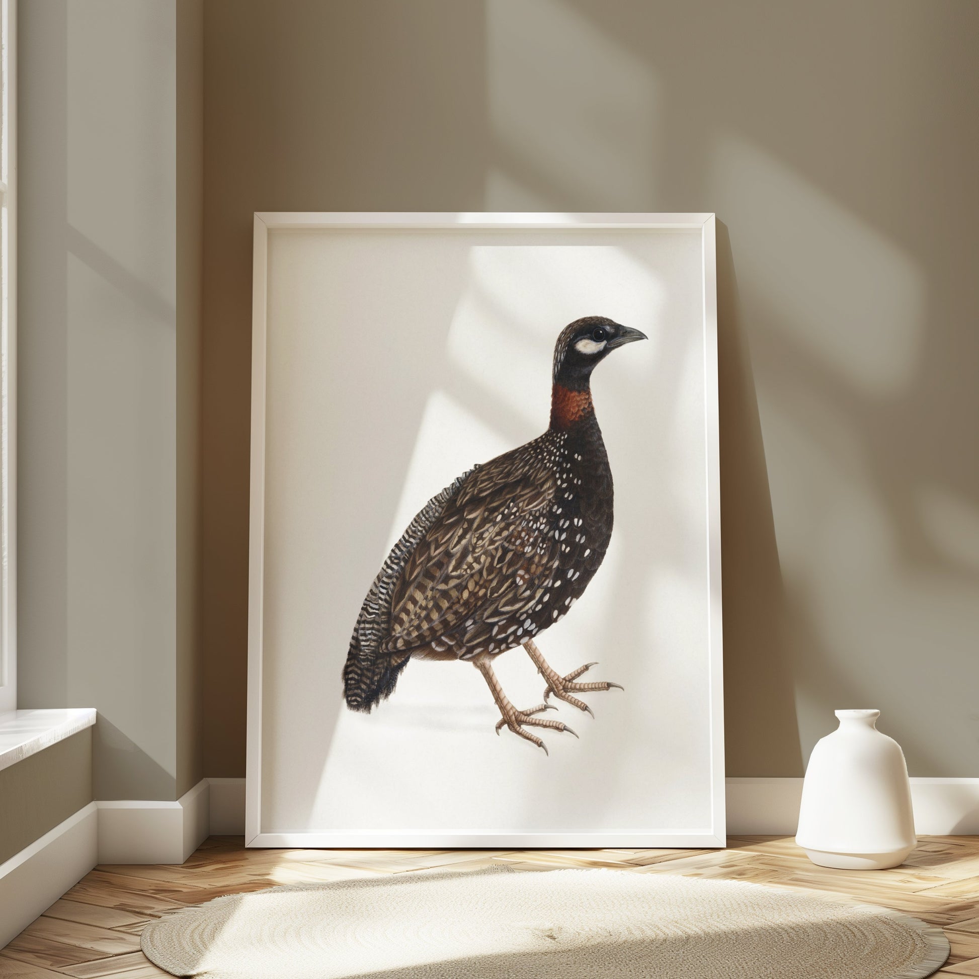 Premium Poster of Japanese Quail Bird Naturalistic Art Print Posters